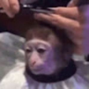 Meet your Posher, Carlos